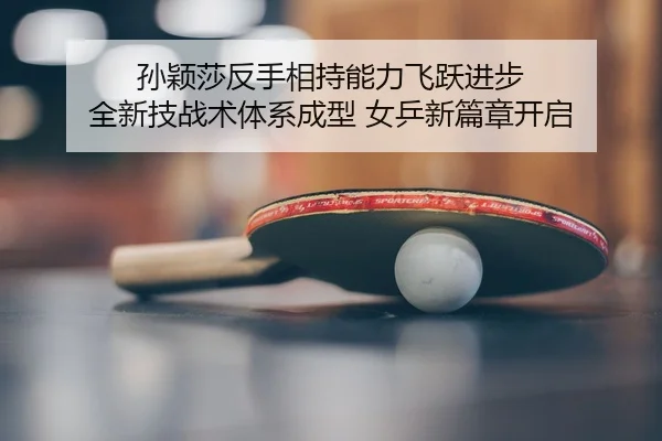 sun-ying-sha-fan-shou-xiang-chi-neng-li-fei-yue-jin-bu-quan-xin-ji-zhan-shu-ti-xi-cheng-xing-nv-ping-xin-pian-zhang-kai-2-108.jpg